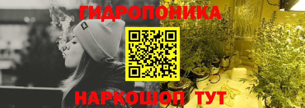Шишки марихуана план  Шишки марихуана AK-47  Ахтубинск  Канабис THC 21%  Вход с VPN  Канабис AK-47 